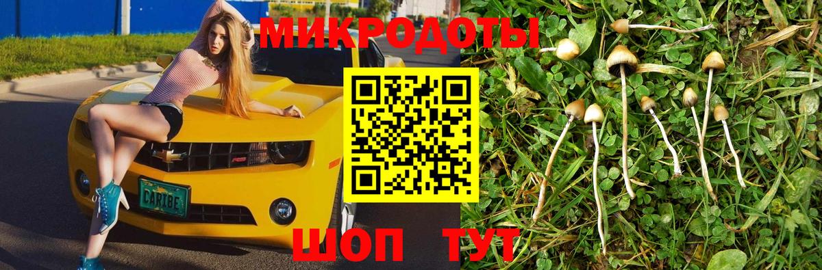 Псилоцибиновые грибы Psilocybine cubensis  Вход с VPN  Сургут 